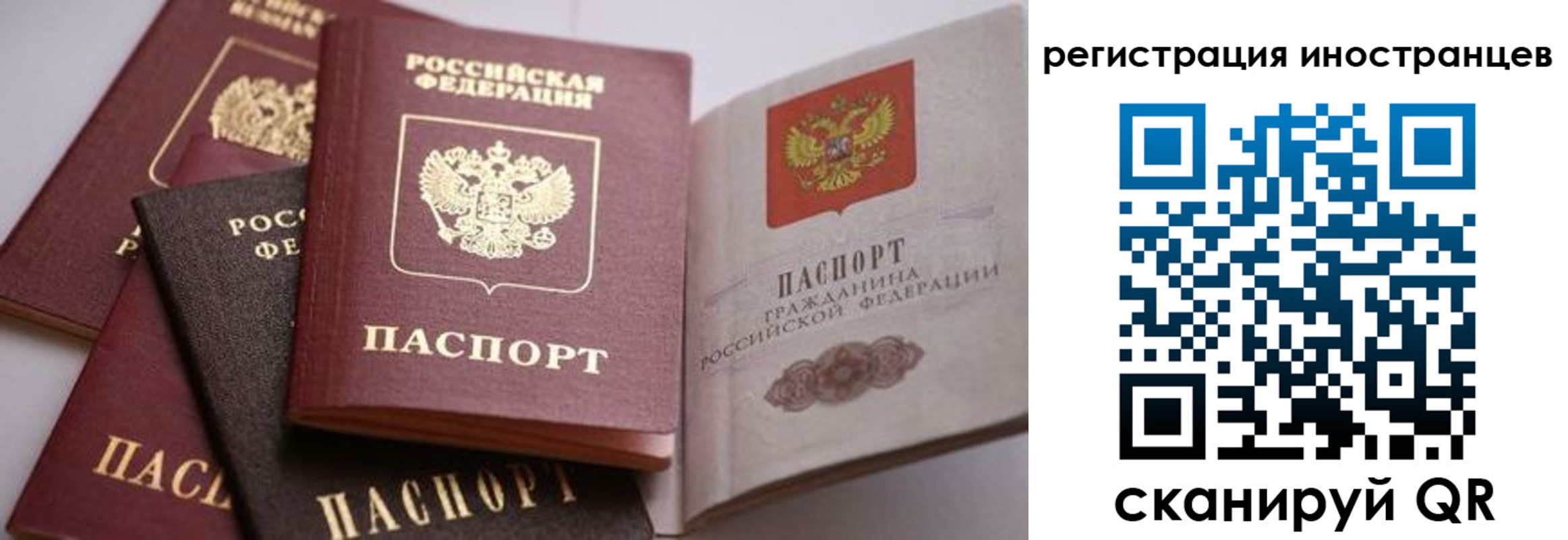 прописка штамп в Ершове